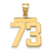 14K Yellow Gold Medium Polished Number 73 Charm view 1
