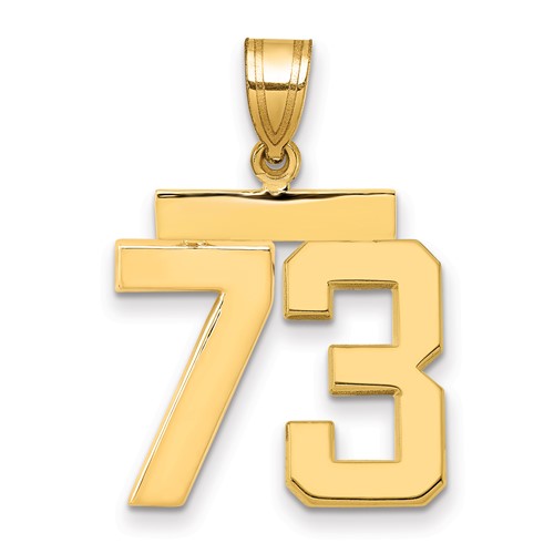 14K Yellow Gold Medium Polished Number 73 Charm