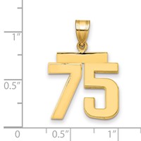 14K Yellow Gold Medium Polished Number 75 Charm view 2