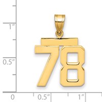 14K Yellow Gold Medium Polished Number 78 Charm view 2