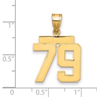 14K Yellow Gold Medium Polished Number 79 Charm view 2