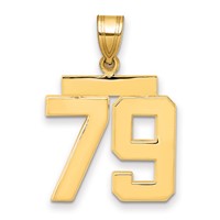 14K Yellow Gold Medium Polished Number 79 Charm view 1