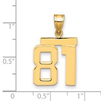 14K Yellow Gold Medium Polished Number 81 Charm view 2
