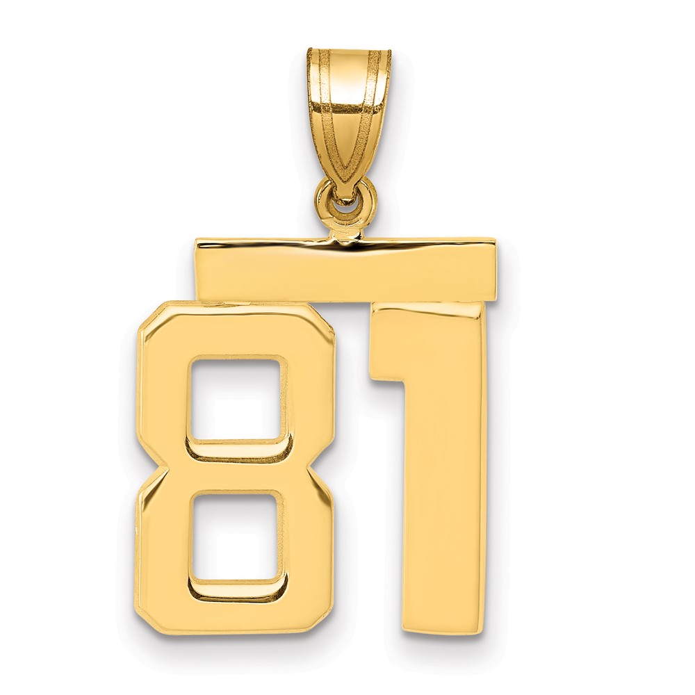 14K Yellow Gold Medium Polished Number 81 Charm