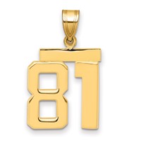 14K Yellow Gold Medium Polished Number 81 Charm view 1