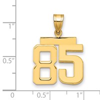 14K Yellow Gold Medium Polished Number 85 Charm view 2