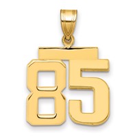 14K Yellow Gold Medium Polished Number 85 Charm view 1