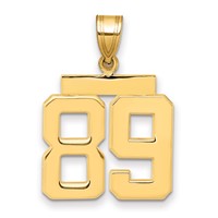 14K Yellow Gold Medium Polished Number 89 Charm view 1