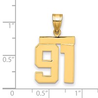 14K Yellow Gold Medium Polished Number 91 Charm view 2