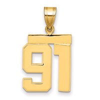 14K Yellow Gold Medium Polished Number 91 Charm view 1