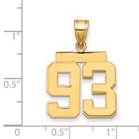 14K Yellow Gold Medium Polished Number 93 Charm view 2
