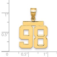 14K Yellow Gold Medium Polished Number 98 Charm view 2