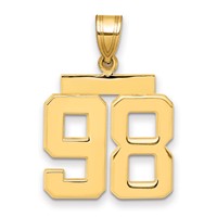 14K Yellow Gold Medium Polished Number 98 Charm view 1