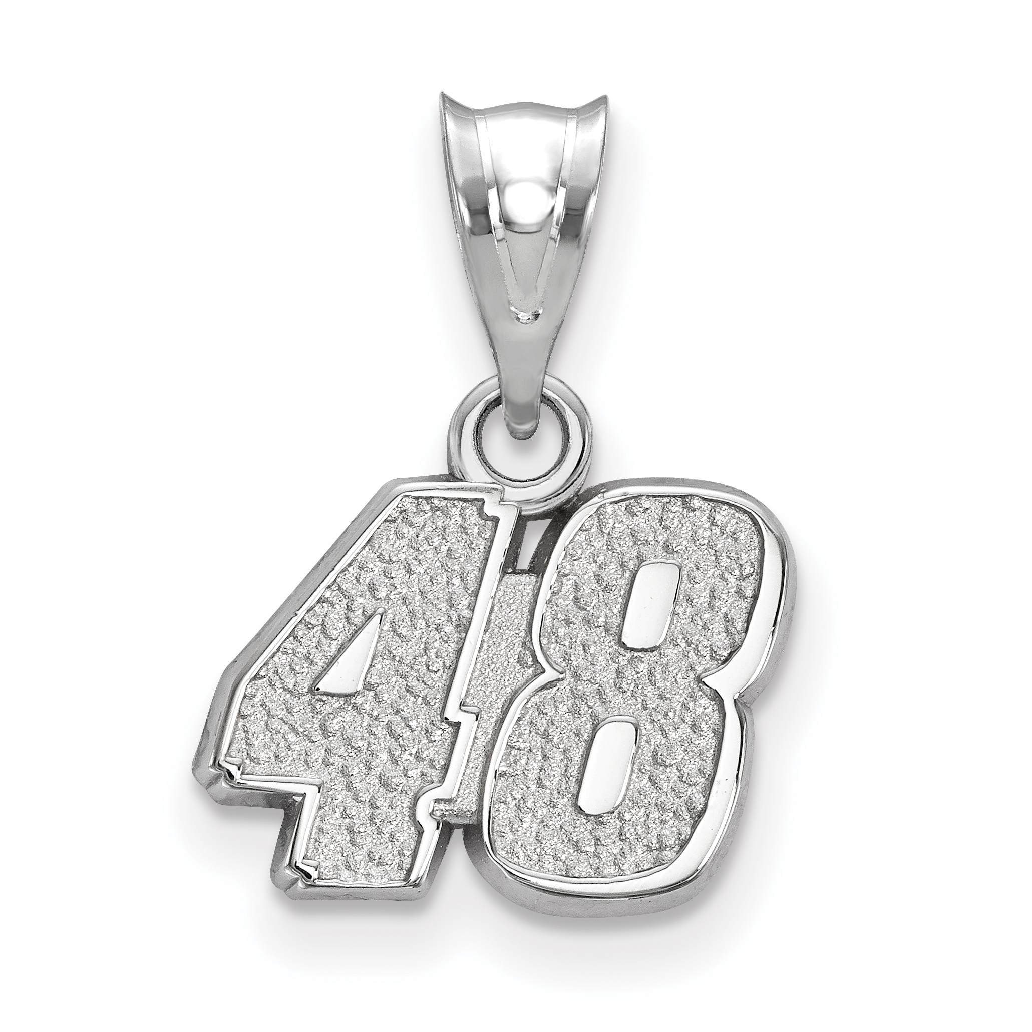 Jimmie Johnson #48 Helmet Number /& Signature Stainless Steel Pendant /& Chain