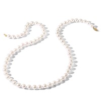 14K Yellow Gold 8-9mm White Round Akoya Saltwater Cultured Pearl Necklace, 18" view 4