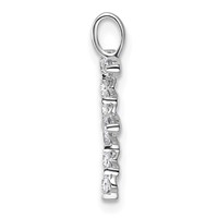True Origin 14K White Gold 0.38 Carat Lab Grown Diamond VS+ F+ Complete Alphabet F Pendant view 2
