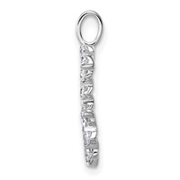 True Origin 14K White Gold 0.50 Carat Lab Grown Diamond VS+ F+ Complete Alphabet G Pendant view 2