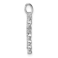 True Origin 14K White Gold 0.50 Carat Lab Grown Diamond VS+ F+ Complete Alphabet R Pendant view 2