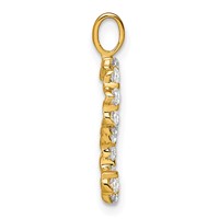 True Origin 14K Yellow Gold 0.50 Carat Lab Grown Diamond VS+ F+ Complete Alphabet S Pendant view 2