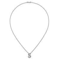 14K White Gold Lab Grown Diamond Vs+f+ Initial S Complete Necklace view 4