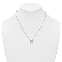 14K White Gold 0.33 Carat Lab Grown Diamond VS+ F+ Complete Letter G Initial Necklace, 18" view 3