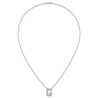 14K White Gold 0.33 Carat Lab Grown Diamond VS+ F+ Complete Letter G Initial Necklace, 18" view 4