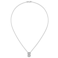 14K White Gold 0.38 Carat Lab Grown Diamond VS+ F+ Complete Letter S Initial Necklace, 18" view 4