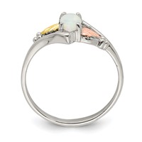 Landstrom's Mt. Rushmore Black Hills Sterling Silver 12K Gold Accents Lab Created Opal Ring view 2