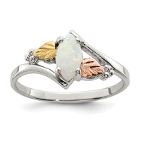Landstrom's Mt. Rushmore Black Hills Sterling Silver 12K Gold Accents Lab Created Opal Ring view 1