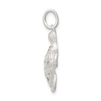 Sterling Silver Turtle Charm view 2