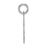 Sterling Silver Rhodium-plated Best Friends Disc Charm view 2