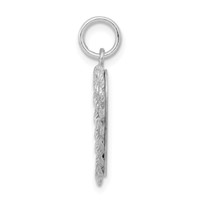 Sterling Silver Rhodium-plated Baptism Disc Charm view 2