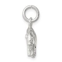 Sterling Silver 3-D Buffalo Charm view 2