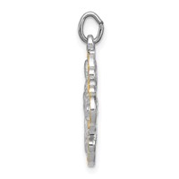 Sterling Silver Platinum-plated & Vermeil 4-way Medal view 2