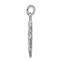 Sterling Silver Platinum-plated Satin 4-way Medal view 2