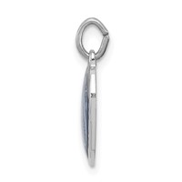 Sterling Silver Platinum-plated Miraculous Heart Medal view 2
