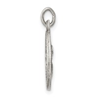 Sterling Silver Antiqued Queen of the Holy Scapular Medal view 2