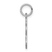 Sterling Silver Rhodium-plated United States Polished Charm view 2
