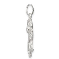 Sterling Silver Lion Charm view 2