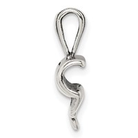 Sterling Silver Polished Antiqued Diploma Pendant view 2