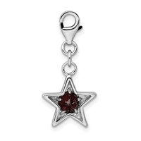 Sterling Silver Rhodium-plated January CZ Birthstone Star Charm view 3