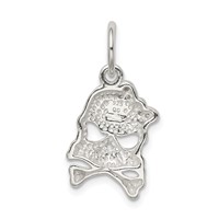 Sterling Silver CZ Skull Charm view 4