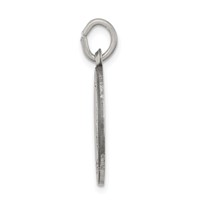 Sterling Silver Antiqued Saint Roch Medal view 2