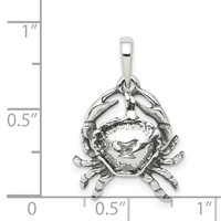 Sterling Silver Antiqued Cancer Zodiac Pendant view 3
