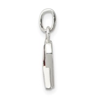 Sterling Silver Brown Enameled Awareness Charm view 2