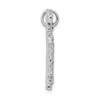 Sterling Silver Rhodium-platedPolished Flute Charm view 2