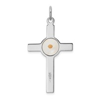 Sterling Silver Platinum-plated Polished & Epxy Cross with Mustard Seed Pendan view 3
