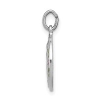 Sterling Silver Platinum-plated Polished Epoxy Miraculous Medal Pendant view 2