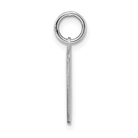 Sterling Silver Rhodium-plated Blue Birth Certificate Polished Charm view 2