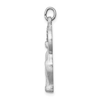 Sterling Silver Platinum-plated Polished & Satin CZ Miraculous Medal Pendan view 2